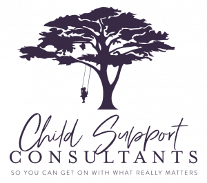 Child Support Consultants